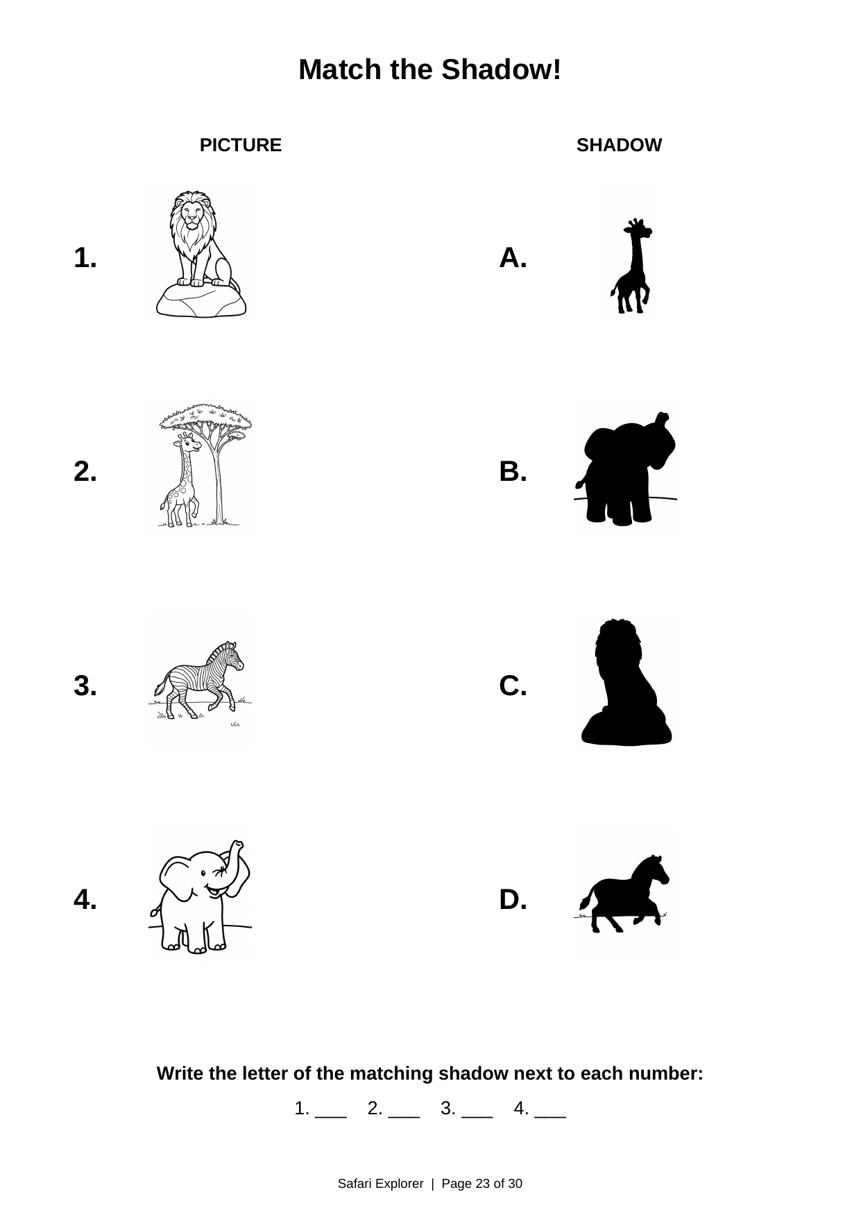 Match the shadow game