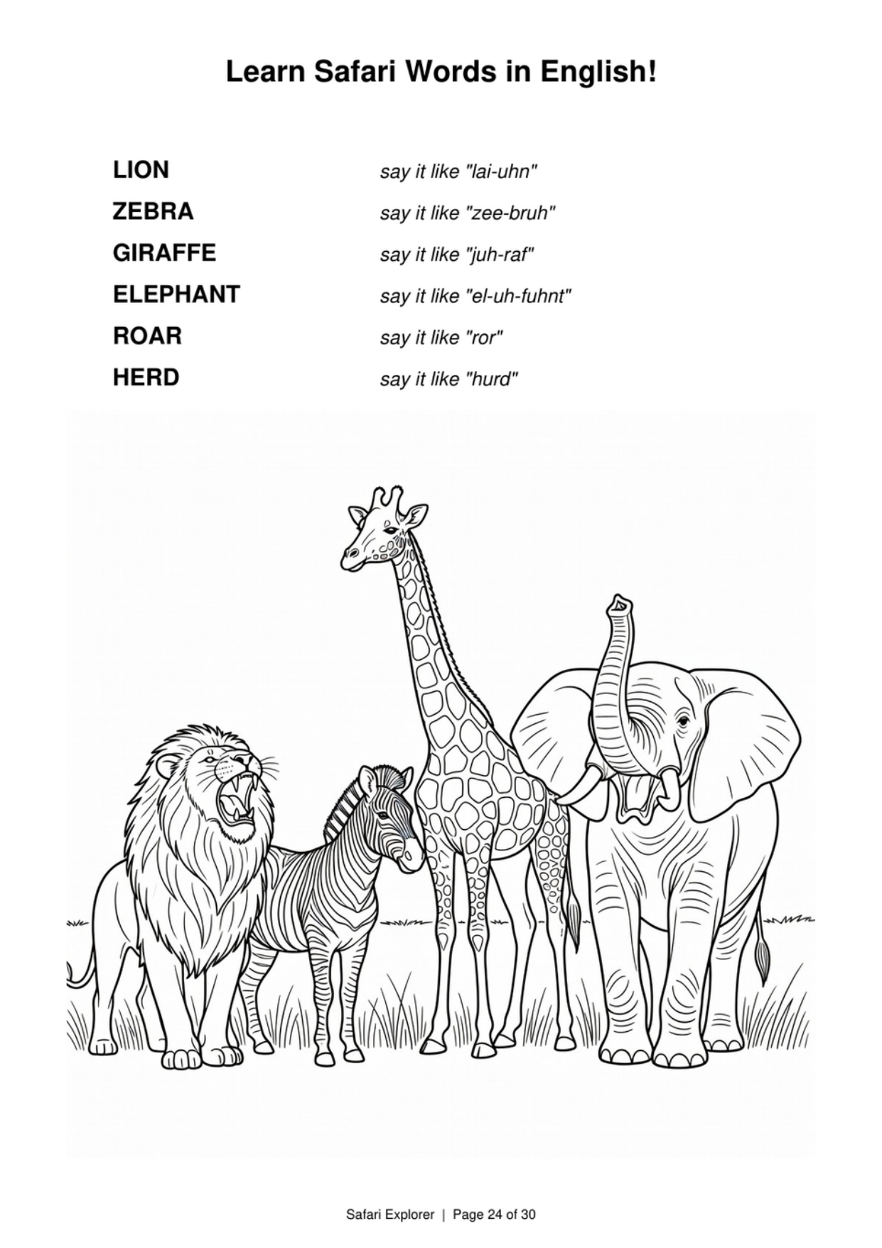 Learn safari words in English